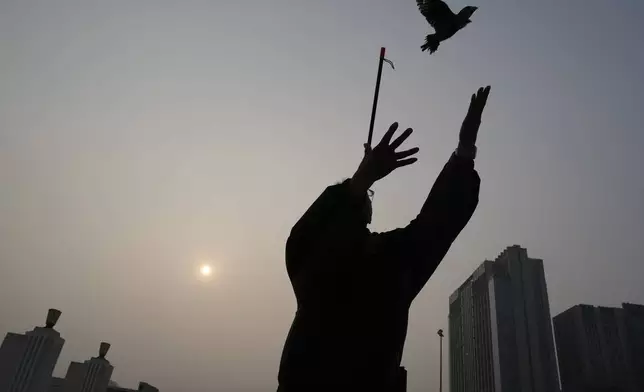 A man throws a bird up as he shoots a bead through a tube for it to catch in mid-air, practising a Beijing tradition that dates back to the Qing Dynasty, outside a stadium in Beijing, Tuesday, March 26, 2024. Today, only about 50-60 people in Beijing are believed to still practice it. (AP Photo/Ng Han Guan)