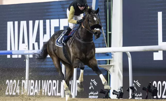 Tuz, with jockey Tadhg O'Shea, wins Group 1 Dubai Golden Shaheen over 1200m (6 furlongs) at Meydan Racecourse in Dubai, United Arab Emirates, Saturday, March 30, 2024. (AP Photo/Martin Dokoupil)