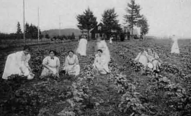 This undated image provided by the Alaska State Library shows Alaska Natives among strawberries at Morningside Hospital in Portland, Ore. Volunteers have spent years digging through old records to identify about 5,500 Alaskans who were committed to a mental hospital in Oregon before Alaska gained statehood. (Alaska State Library, Historical Collections via AP)