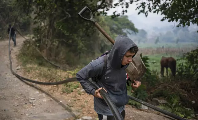 A villager pulls a hose to help contain a wildfire in Nogales, in the High Mountains area of Veracruz state, Mexico, Monday, March 25, 2024. (AP Photo/Felix Marquez)