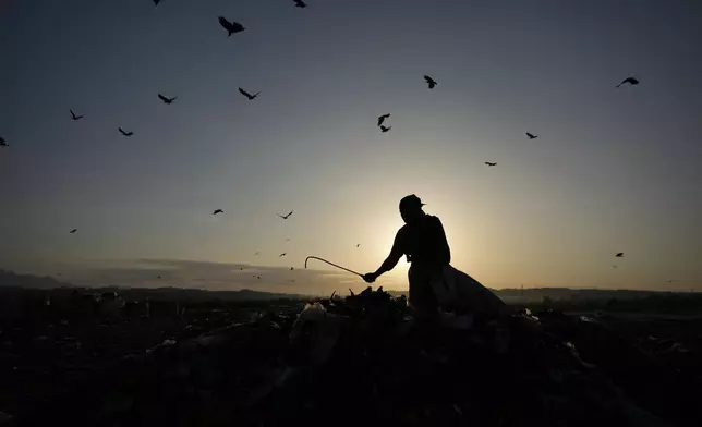An Indian rag picker looks for reusable material at a garbage dump filled with plastic and other waste material on the outskirts of Jammu, India, Monday, April 22, 2024. This year’s Earth Day is focusing on the threat that plastics pose to our environment. (AP Photo/Channi Anand)
