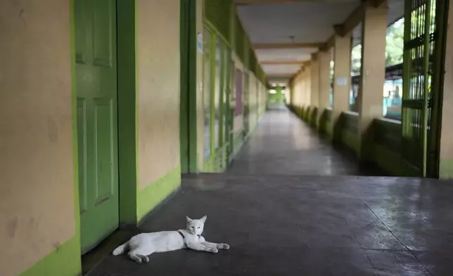 A cat rests along an empty hallway as classes shift to online modes due to the hot weather at the Justo Lukban Elementary School in Manila, Philippines on Monday, April 29, 2024. Millions of students in all public schools across the Philippines were ordered to stay home Monday after authorities cancelled in-person classes for two days as an emergency step due to the scorching heat and a public transport strike. (AP Photo/Aaron Favila)