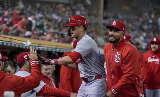 St. Louis Cardinals' Lars Nootbaar, center, celebrates with teammates in the dugout after scoring against the Oakland Athletics on Willson Contreras' double during the sixth inning of a baseball game Monday, April 15, 2024, in Oakland, Calif. (AP Photo/Godofredo A. Vásquez)