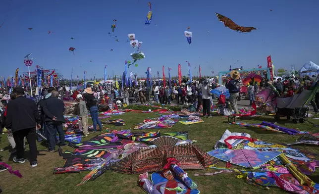 Kites lie on the ground during the 41st International Kite Festival in Weifang, Shandong Province of China, Saturday, April 20, 2024. (AP Photo/Tatan Syuflana)