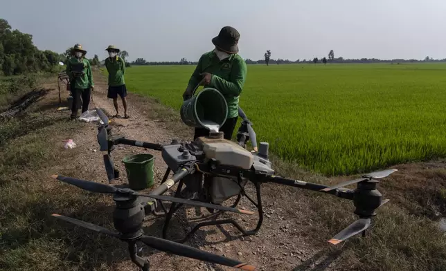 A worker loads fertilizer into a tank attached to a large drone, preparing to spray it over Vo Van Van's rice fields in Long An province in southern Vietnam's Mekong Delta, Tuesday, Jan. 23, 2024. Using less water and using a drone to fertilize are new techniques that Van is trying and Vietnam hopes will help solve a paradox at the heart of growing rice: The finicky crop isn't just vulnerable to climate change but also contributes uniquely to it. (AP Photo/Jae C. Hong)