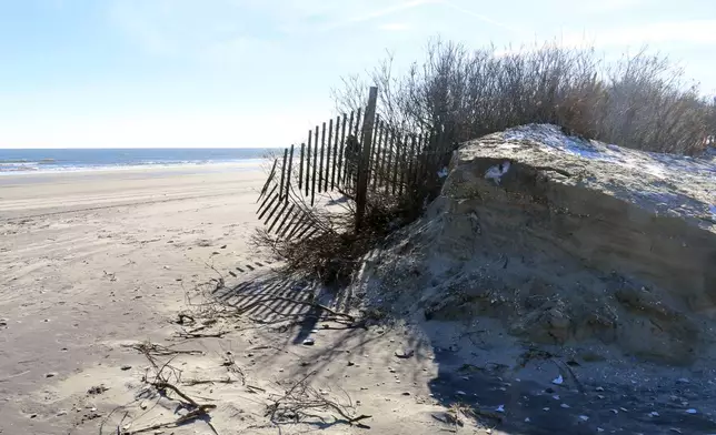 FILE - This Jan. 22, 2024, photo shows a severely eroded section of sand dune in North Wildwood N.J. On April 25, 2024, North Wildwood and the state of New Jersey announced an agreement for an emergency beach replenishment project there to protect the city until a full-blown beach fill can be done by the U.S. Army Corps of Engineers that may still be two years away. Winter storms punched a hole through what is left of the city's eroded dune system, leaving it more vulnerable than ever to destructive flooding. (AP Photo/Wayne Parry, File)