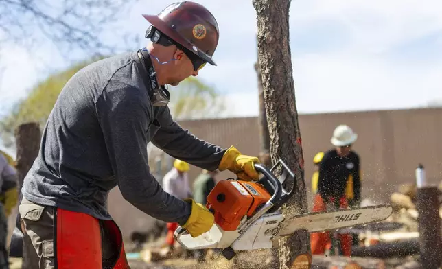 A Wildfire Academy student practices with a chainsaw Monday, March 11, 2024, in Prescott, Ariz. Forecasters are warning that the potential for wildfires will be above normal in some areas across the United States over the coming months as temperatures rise and rain becomes sparse. (AP Photo/Ty ONeil)