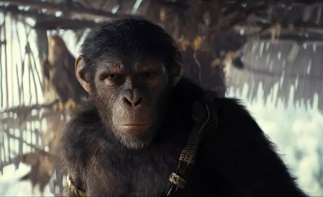 This image released by 20th Century Studios shows Noa, played by Owen Teague, in a scene from "Kingdom of the Planet of the Apes." (20th Century Studios via AP)