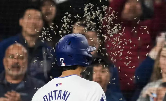 Los Angeles Dodgers designated hitter Shohei Ohtani walks through sunflower seeds after hitting a home run during the seventh inning of a baseball game against the San Francisco Giants in Los Angeles, Wednesday, April 3, 2024. (AP Photo/Ashley Landis)