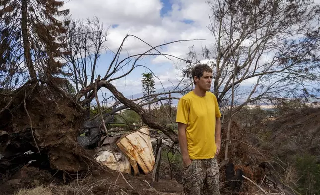 FILE - Kyle Ellison stands in front of a fallen tree in the aftermath of a series of wildfires on Wednesday, Sept. 27, 2023, in Kula, Hawaii. The Maui Fire Department is expected to release a report Tuesday, April 16, 2024, detailing how the agency responded to yjr wildfires that burned on the island during a windstorm last August. (AP Photo/Mengshin Lin, File)