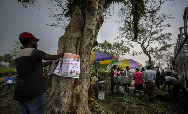A tea garden worker pastes a Bharatiya Janata Party poster on to a tree ahead of national elections in Marioni in upper Assam, India, Tuesday, April 16, 2024. (AP Photo/Anupam Nath)