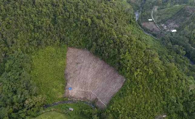 A swath of forest on a hill that has been cleared from trees to make way for a corn plantation is visible in Polewali Mandar, South Sulawesi, Indonesia, Saturday, April 20, 2024. From trees felled in protected national parks to massive swaths of jungle razed for palm oil and paper plantations, Indonesia had a 27% uptick in primary forest loss in 2023 from the previous year, according to a World Resources Institute analysis of new deforestation data. (AP Photo/Yusuf Wahil)