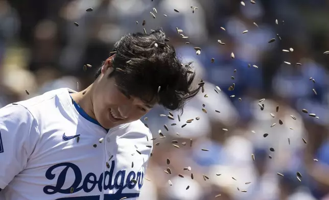 Los Angeles Dodgers' Shohei Ohtani is hit with sunflower seeds after hitting a two-run home run during the third inning of a baseball game against the New York Mets in Los Angeles, Sunday, April 21, 2024. (AP Photo/Kyusung Gong)