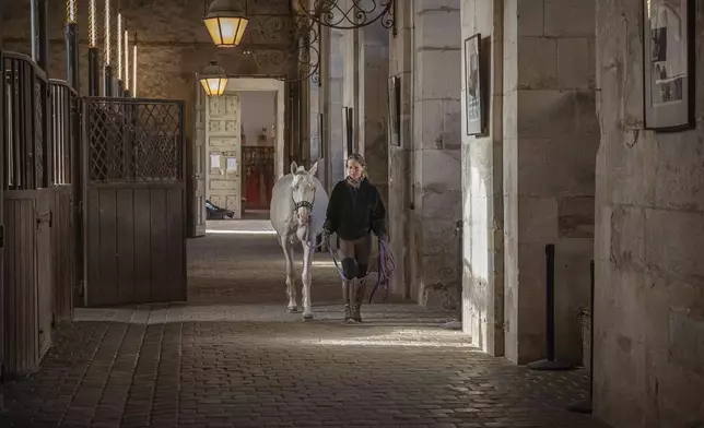 A horsewoman leads her horse in the royal stables, in Versailles, Thursday, April 25, 2024. More than 340 years after the royal stables were built under the reign of France's Sun King, riders and horses continue to train and perform in front of the Versailles Palace. The site will soon keep on with the tradition by hosting the equestrian sports during the Paris Olympics. Commissioned by King Louis XIV, the stables have been built from 1679 to 1682 opposite to the palace's main entrance. (AP Photo/Aurelien Morissard)
