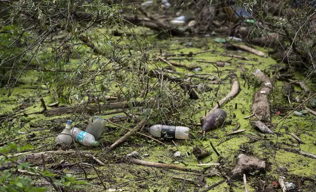 FILE - Muddy plastic bottles have flowed downstream and become lodged against fallen trees and within the dense foliage in Tisza River near Tiszaroff, Hungary, Aug. 1, 2023. (AP Photo/Denes Erdos, File)