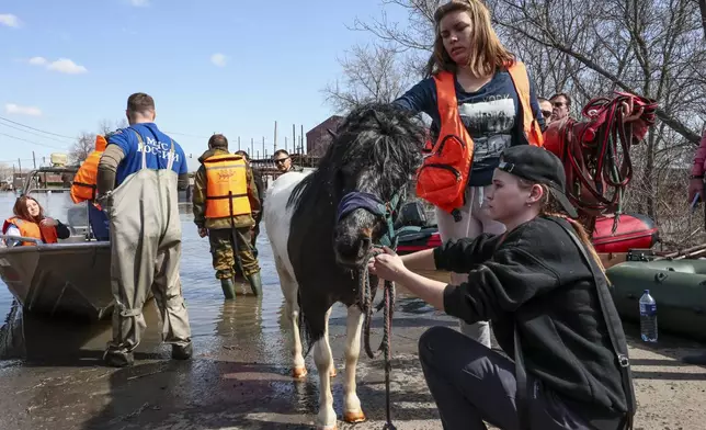 Local residents prepare their pony to cross a flooded area by boat in Orenburg, Russia, Thursday, April 11, 2024. Russian officials are scrambling to help homeowners displaced by floods, as water levels have risen in the Ural River. The river's water level in the city of Orenburg was above 10 meters (33 feet) Wednesday, state news agency Ria Novosti reported, citing the regional governor. (AP Photo)