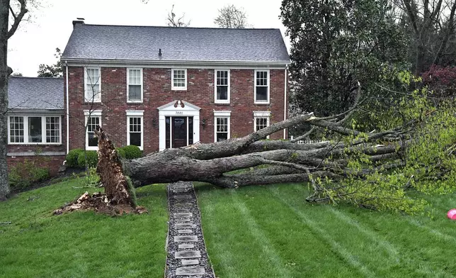 A large tree lays across the front yard of a house in the Hunting Creek neighborhood in Prospect, Ky., Tuesday, April 2, 2024. Severe storms passed through the area uprooting trees and cutting power to many areas. (AP Photo/Timothy D. Easley)
