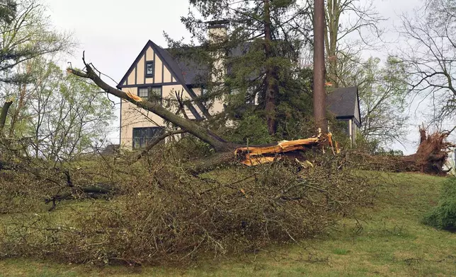 A large tree lies across the front yard of a house in the Hunting Creek neighborhood in Prospect, Ky., Tuesday, April 2, 2024, following a severe storm that passed through the area. (AP Photo/Timothy D. Easley)