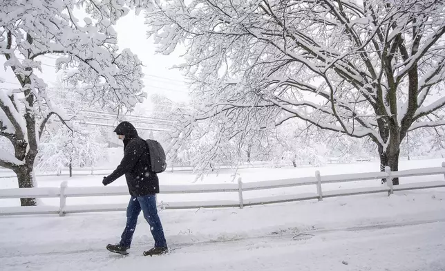 A pedestrian walks beneath snow-laden trees Thursday, April 4, 2024 in Northfield, Vt., as a major spring storm dumped heavy snow on the region. (Jeb Wallace-Brodeur/The Times Argus via AP)