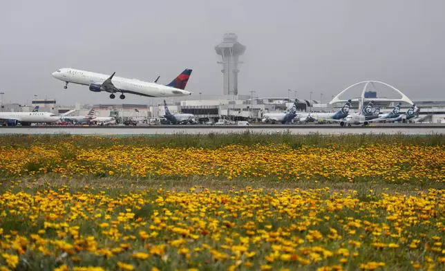 Flowers bloom along the runways as a Delta Airlines jet takes off at the Los Angeles International Airport in Los Angeles Friday, April 12, 2024. Carpets of tiny, rain-fed wildflowers known as "Superblooms" are appearing in parts of California and Arizona. Their arrival draws droves of visitors who stop to glimpse the flashes of color and pose for pictures. (AP Photo/Damian Dovarganes)