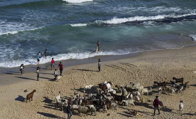 Palestinians wash their flock in the Mediterranean Sea at the beach in Deir al Balah, Gaza Strip, on Wednesday, May 8, 2024. (AP Photo/Abdel Kareem Hana)