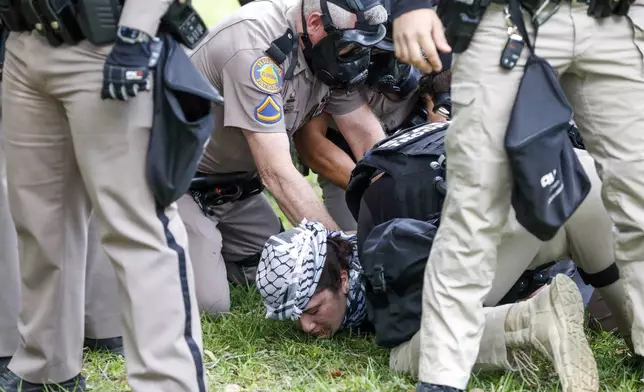 A Pro-Palestinian protester is arrested by law enforcement at the University of South Florida MLK Plaza Fountain on Tuesday, April 30, 2024, in Tampa, Fla. (Jefferee Woo/Tampa Bay Times via AP)