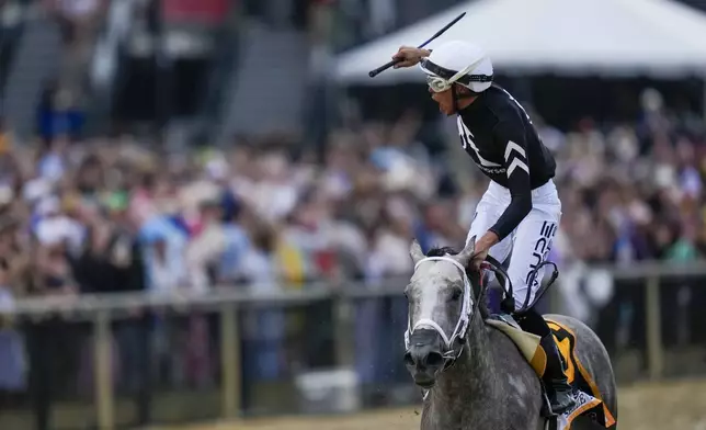 Jockey Jaime Torres, atop Seize The Grey, reacts after winning the Preakness Stakes horse race at Pimlico Race Course, Saturday, May 18, 2024, in Baltimore. (AP Photo/Julia Nikhinson)