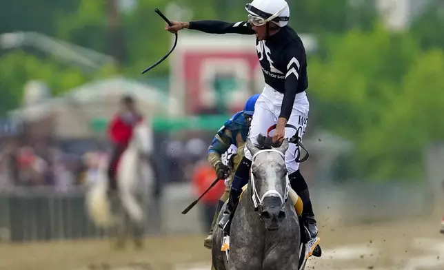 Jockey Jaime Torres celebrates atop Seize The Grey after winning the Preakness Stakes horse race, Saturday, May 18, 2024, at Pimlico Race Course in Baltimore. (AP Photo/Nick Wass)