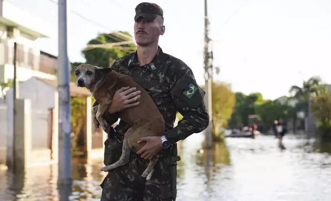A soldier evacuates a dog from a flooded area after heavy rain in Canoas, Rio Grande do Sul state, Brazil, Thursday, May 9, 2024. (AP Photo/Carlos Macedo)