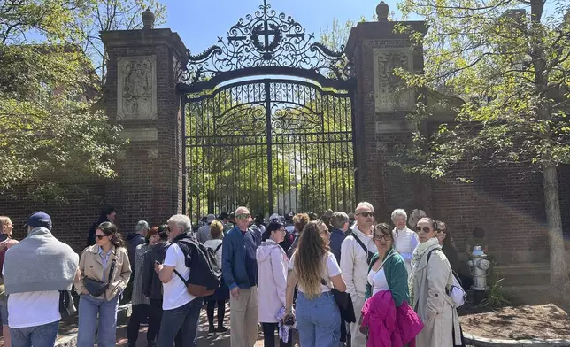Tourists flocked to Harvard Yard on Harvard University to catch a glimpse of an encampment set up to protest the war in Gaza, Tuesday, May 14, 2024, in Cambridge, Mass. The encampment was being voluntarily removed early Tuesday. (AP Photo/Michael Casey)