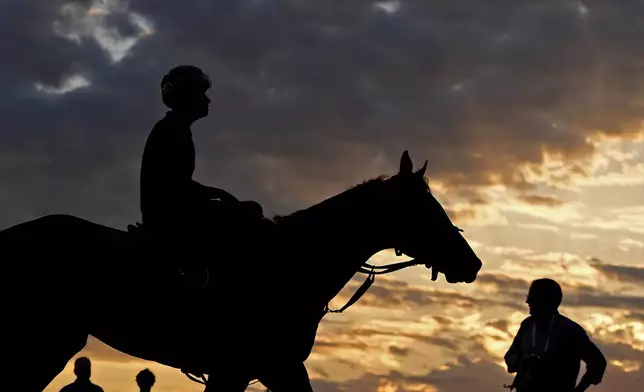 A horse comes off the track after a workout at Churchill Downs Wednesday, May 1, 2024, in Louisville, Ky. The 150th running of the Kentucky Derby is scheduled for Saturday, May 4. (AP Photo/Charlie Riedel)