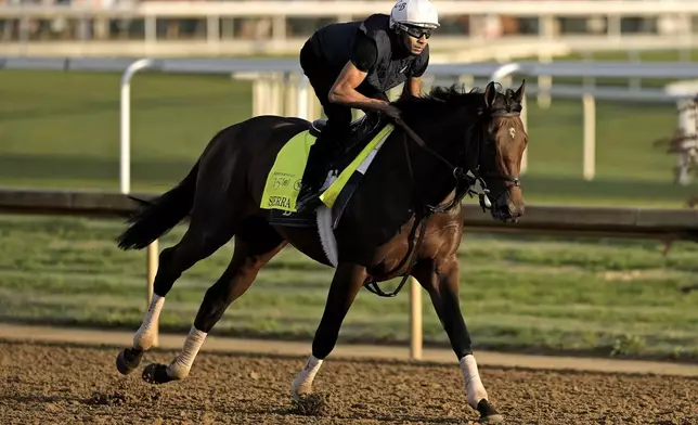 Kentucky Derby hopeful Sierra Leone works out at Churchill Downs Wednesday, May 1, 2024, in Louisville, Ky. The 150th running of the Kentucky Derby is scheduled for Saturday, May 4. (AP Photo/Charlie Riedel)