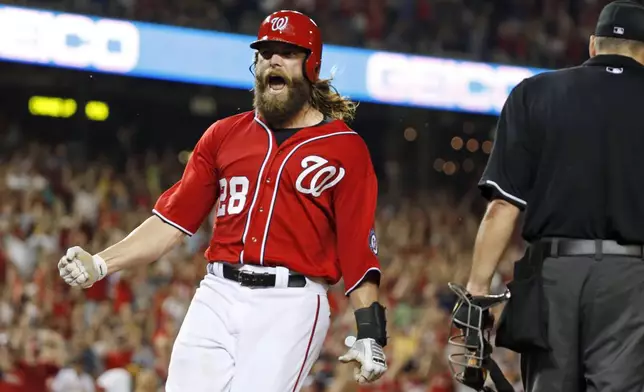 FILE - Washington Nationals right fielder Jayson Werth celebrates after scoring the winning run in a baseball game against the Pittsburgh Pirates, Sunday, Aug. 17, 2014, in Washington. The Nationals won 6-5 in 11 innings. Werth won the World Series with Philadelphia and played 63 playoff games during his major league career with the Toronto Blue Jays, Los Angeles Dodgers, Phillies and Nationals, and still nothing compares with the adrenaline rush of his new favorite sport, horse racing. Werth owns over two dozen thoroughbreds, including Dornoch, who will run in the Kentucky Derby on Saturday, May 4, 2024. (AP Photo/Alex Brandon, File)