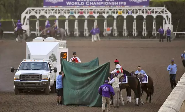 FILE - Mongolian Groom is treated after the Breeders' Cup Classic horse race at Santa Anita Park, in Arcadia, Calif., Nov. 2, 2019. Breeders' Cup Classic. Horse deaths marred last year’s Kentucky Derby, Preakness and Breeders’ Cup, with officials finding no single factor to blame.. (AP Photo/Mark J. Terrill, File)