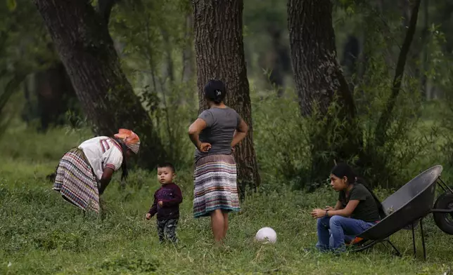A family takes a break from cutting grass for their donkeys and cows in Plan de Ayala, a Tojolabal village in the Las Margaritas municipality of Chiapas state, Thursday, May 2, 2024. Two women are on Mexico’s ballot for president while women in some Indigenous areas have no voice in their own villages. However, with help from younger generations, some Indigenous women are pushing for change. (AP Photo/Marco Ugarte)