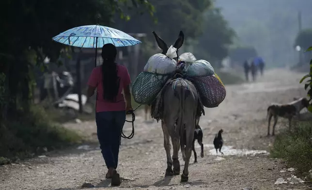 A woman leads her donkey, loaded with goods, in Plan de Ayala, a Tojolabal village in the Las Margaritas municipality of Chiapas state, Mexico, Friday, May 3, 2024. Two women are on Mexico’s ballot for president while women in some Indigenous areas have no voice in their own villages. However, with help from younger generations, some Indigenous women are pushing for change. (AP Photo /Marco Ugarte)