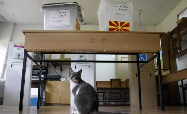 A cat stands under ballot boxes during the parliamentary election and the presidential runoff, at a polling station in Skopje, North Macedonia, on Wednesday, May 8, 2024. Voters in North Macedonia go to the polls Wednesday for a double election — parliamentary and presidential — following a campaign in which the country's aspirations to join the European Union have played a central role. (AP Photo/Boris Grdanoski)