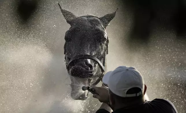 Kentucky Derby entrant Grand Mo The First gets a bath after a workout at Churchill Downs in Louisville, Ky., May 2, 2024. (AP Photo/Charlie Riedel)