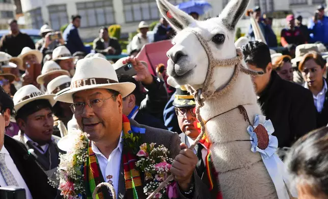 Bolivian President Luis Arce arrives with a llama to an event celebrating that the UN named 2024 as the International Year of Camelids, in La Paz, Bolivia, May 7, 2024. (AP Photo/Juan Karita)