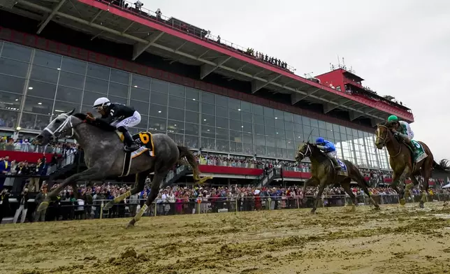 Jaime Torres, left, atop Seize The Grey, crosses the finish line in front of Flavien Prat, center, atop Catching Freedom, and Brian Hernandez, Jr., atop Mystik Dan, while winning the Preakness Stakes horse race at Pimlico Race Course, Saturday, May 18, 2024, in Baltimore. (AP Photo/Julio Cortez)