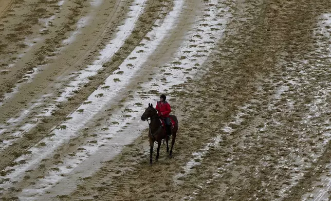 An outrider rides a horse on a muddy track following morning rain ahead of the Preakness Stakes horse race at Pimlico Race Course, Saturday, May 18, 2024, in Baltimore. (AP Photo/Julia Nikhinson)