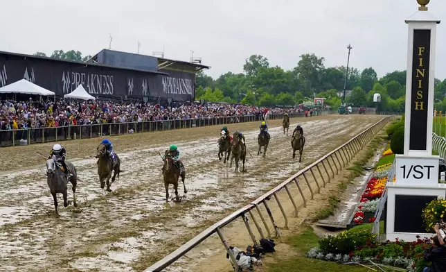 Jaime Torres, left, atop Seize The Grey, leads the pack while winning the Preakness Stakes horse race at Pimlico Race Course, Saturday, May 18, 2024, in Baltimore. (AP Photo/Julia Nikhinson)