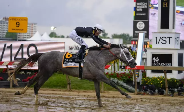 Jaime Torres, atop Seize The Grey, crosses the finish line to win the Preakness Stakes horse race at Pimlico Race Course, Saturday, May 18, 2024, in Baltimore. (AP Photo/Julio Cortez)