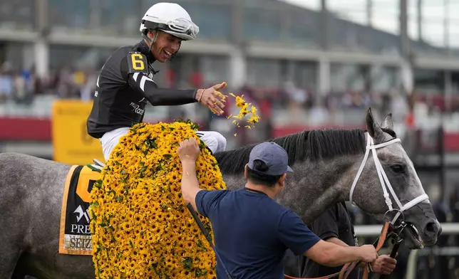 Jaime Torres, left, atop Seize The Grey, tosses Black-Eyed Susan petals to a member of his team after winning the Preakness Stakes horse race at Pimlico Race Course, Saturday, May 18, 2024, in Baltimore. (AP Photo/Julia Nikhinson)