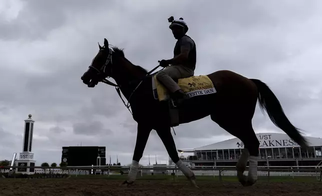 Kentucky Derby winner and Preakness Stakes entrant Mystik Dan works out ahead of the 149th running of the Preakness Stakes horse race at Pimlico Race Course, Friday, May 17, 2024, in Baltimore. (AP Photo/Julia Nikhinson)