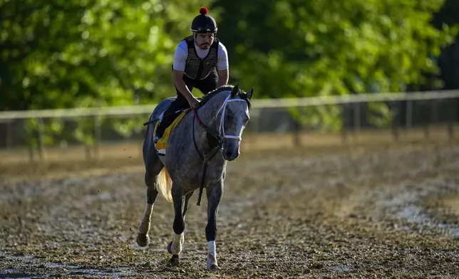 Preakness Stakes entrant Seize the Grey works out ahead of the 149th running of the Preakness Stakes horse race at Pimlico Race Course, Thursday, May 16, 2024, in Baltimore. (AP Photo/Julio Cortez)