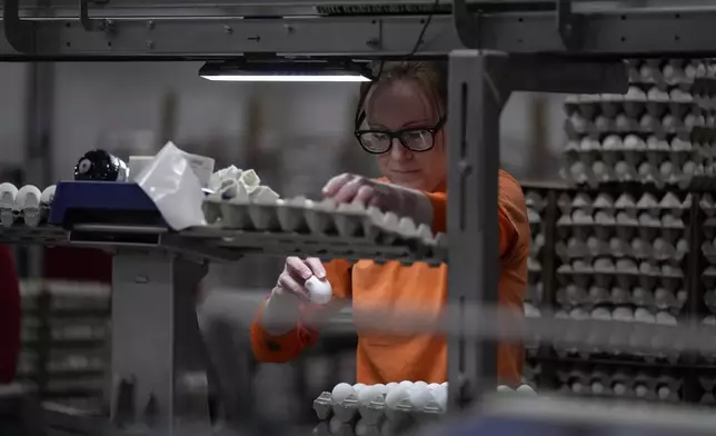 Crystal Adams, wearing orange to identify her as a prison worker, inspects eggs as she works as an order runner at Hickman's Family Farm egg-packaging operation in Tonopah, Ariz., Thursday, March 14, 2024. In many states, prisoners are denied everything from disability benefits to protections guaranteed by OSHA or state agencies that ensure safe and healthy conditions for laborers. In Arizona, for instance, the state occupational safety division doesn't have the authority to pursue cases involving inmate deaths or injuries. (AP Photo/Carolyn Kaster)