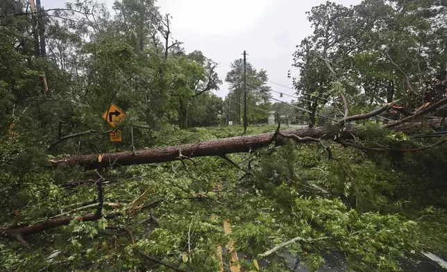 A huge tree on Old St. Augustine Road rests on downed power lines in Tallahassee, Fla., Friday, May 10, 2024. Powerful storms with damaging high winds threatened several states in the Southeast early Friday. (AP Photo/Phil Sears)