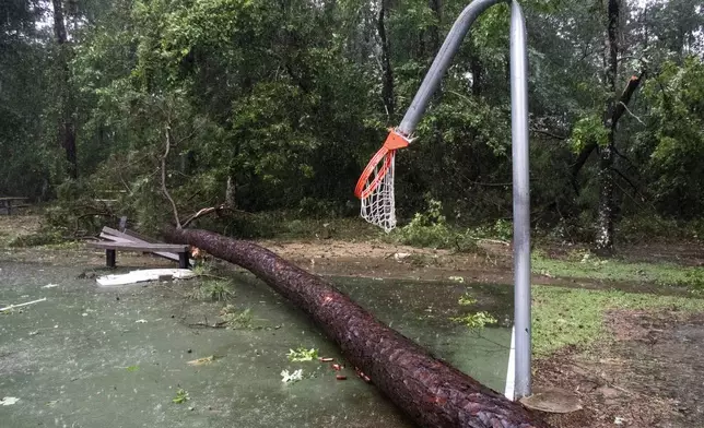 A basketball hoop is damaged by a fallen tree during a severe storm, Thursday, May 2, 2024 in Spring, Texas. (Brett Coomer/Houston Chronicle via AP)