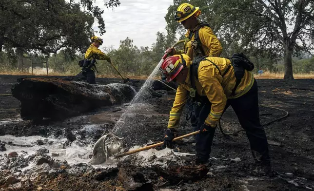 Firefighters mop up as the Apache Fire burns in Palermo, Calif., on Tuesday, Jun. 25, 2024. According to Cal Fire, more than a dozen new fires sparked by lightning. (AP Photo/Ethan Swope)